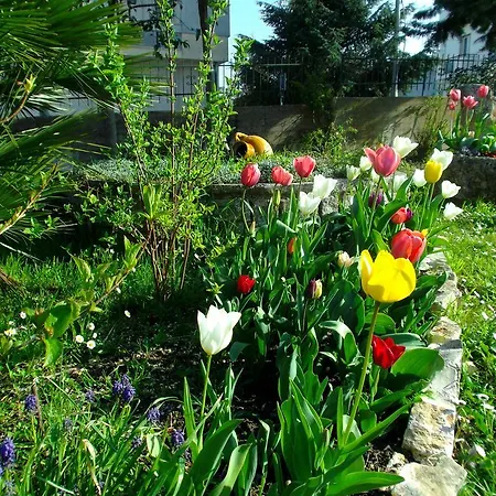 拉皮科拉咖啡科尔特旅馆 阿尔贝罗贝洛