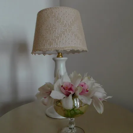 住宿加早餐酒店 拉皮科拉咖啡科尔特旅馆 阿尔贝罗贝洛