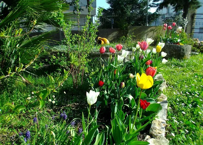 La Piccola Corte Alberobello